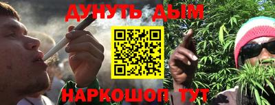 гидра Краснознаменск