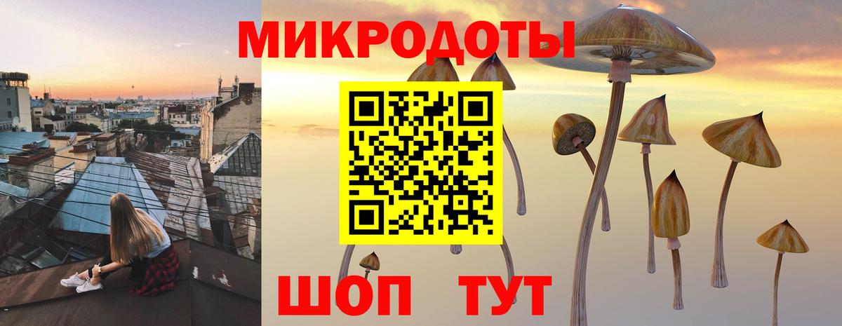 Галлюциногенные грибы ЛСД Тихвин